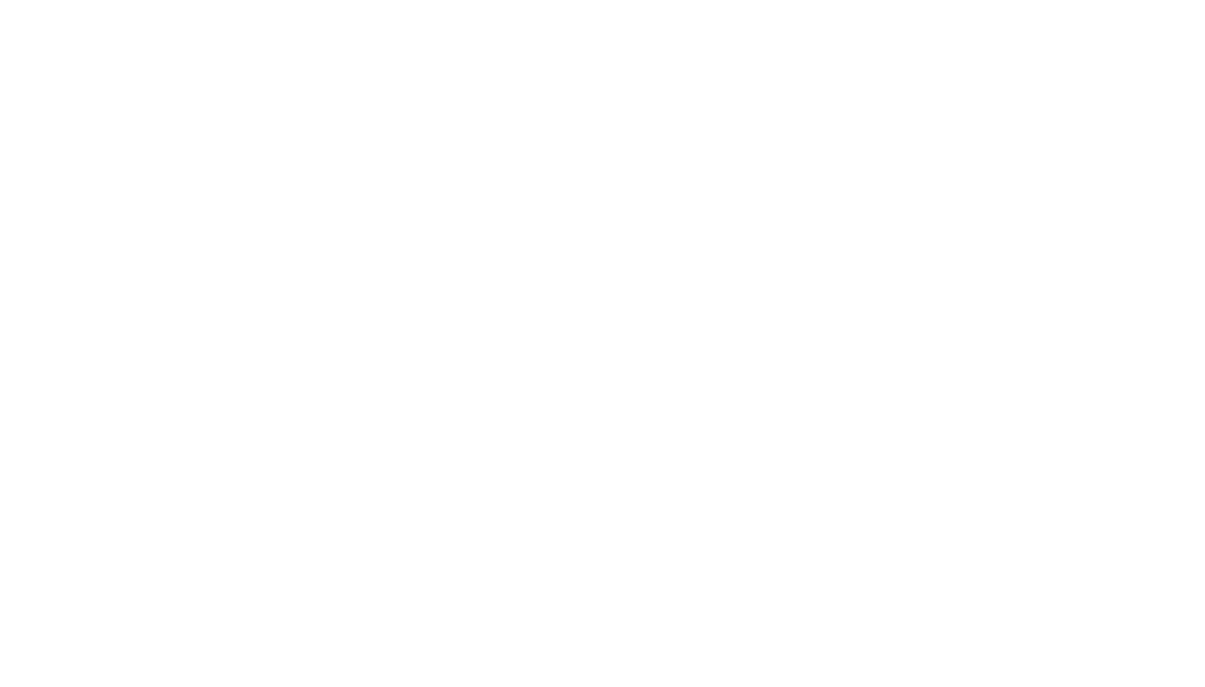 Logo secundária Bankizi